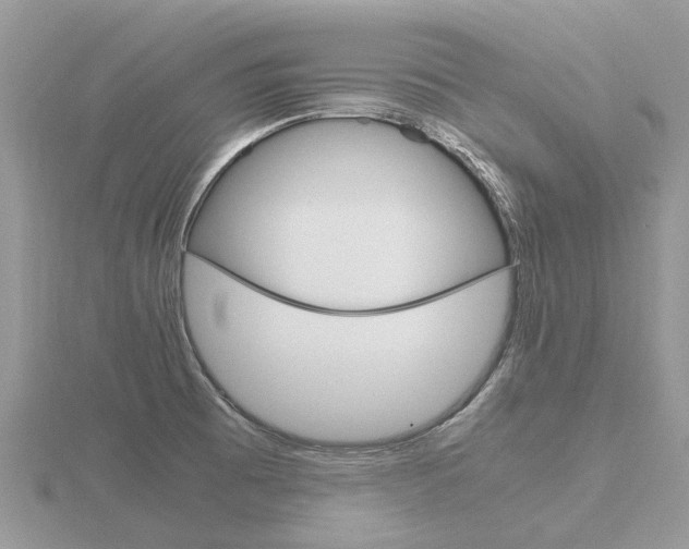 X0000116661473200912141016