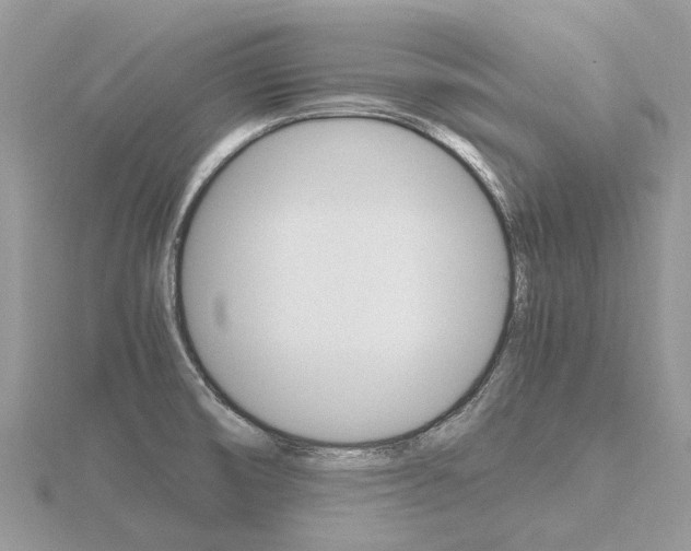 X0000116661474200912141016