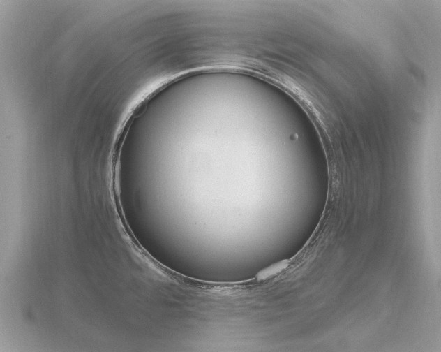 X0000116661480200912141016