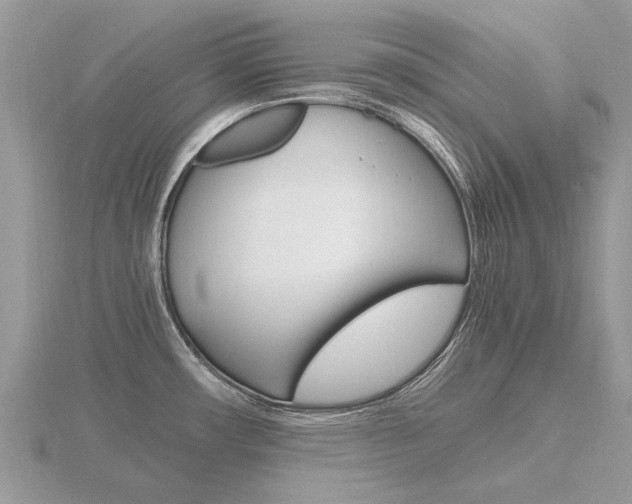 X0000116661482200912141016