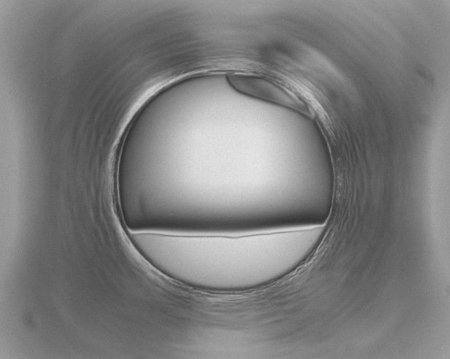 X0000116661483200912141016