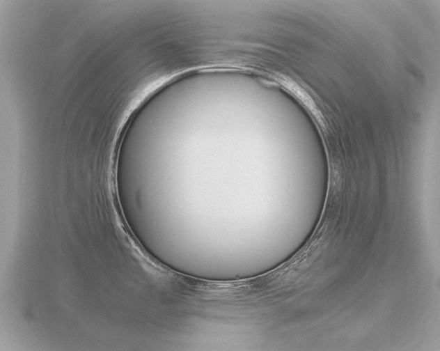 X0000116661485200912141016