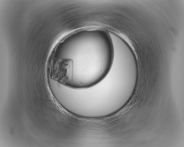 X0000116661488200912141016