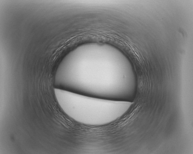 X0000116661490200912141016