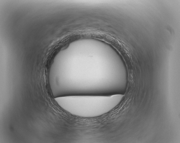 X0000116661493200912141016
