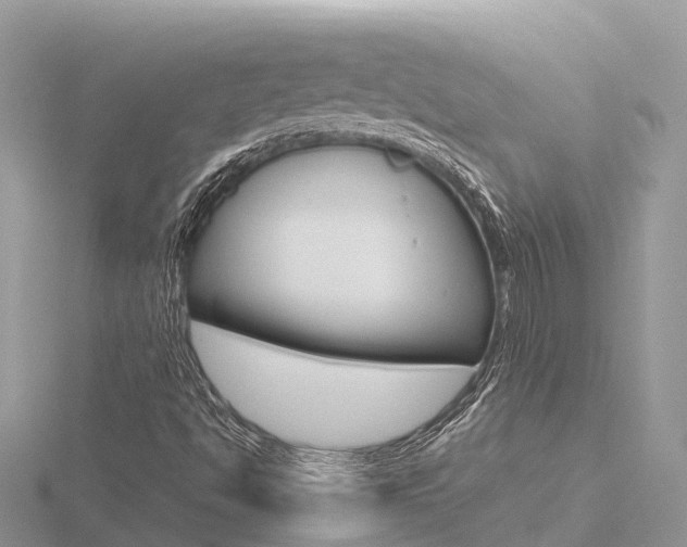 X0000116661494200912141016