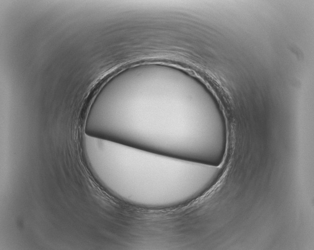X0000116661497200912141016