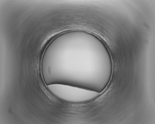 X0000116661499200912141016