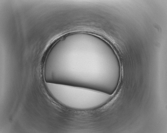 X0000116661501200912141016