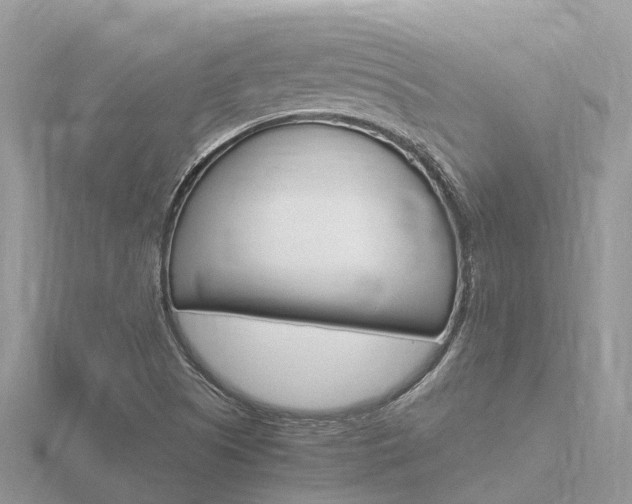 X0000116661505200912141016