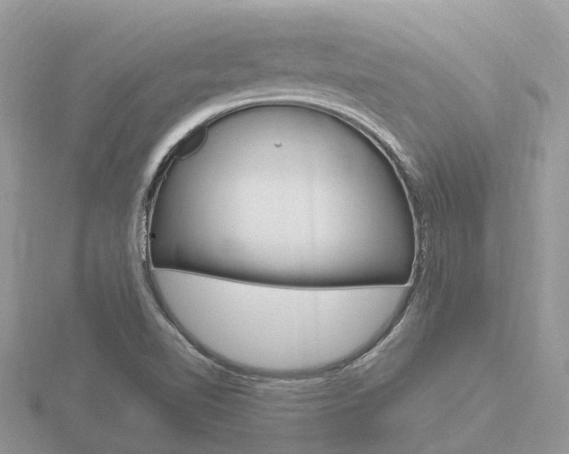 X0000116661510200912141016