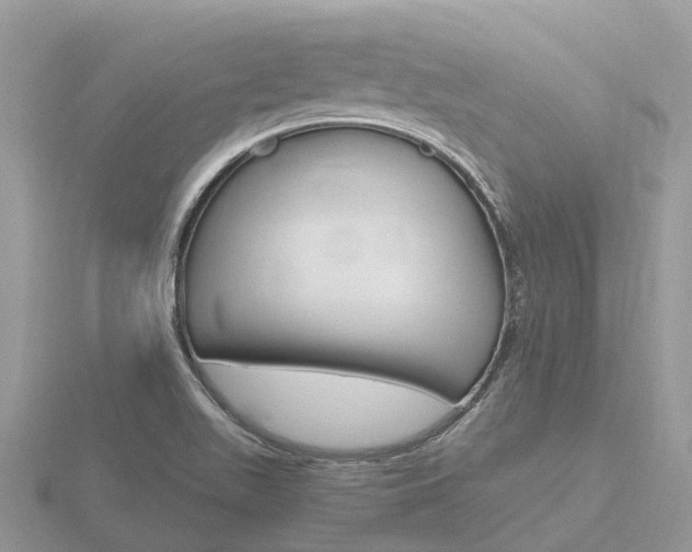 X0000116661511200912141016