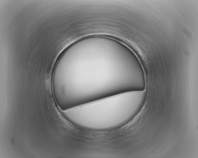 X0000116661513200912141016