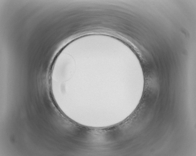 X0000116661514200912141016