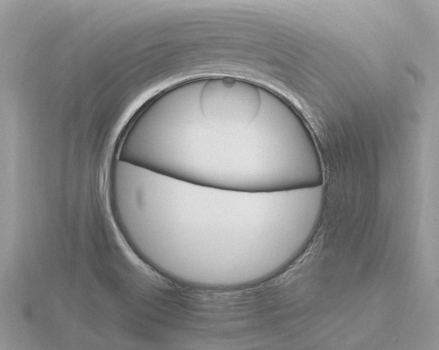 X0000116661515200912141016