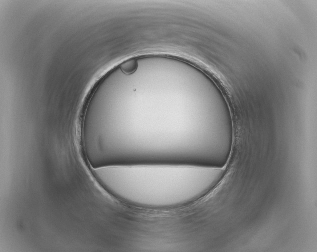 X0000116661517200912141016
