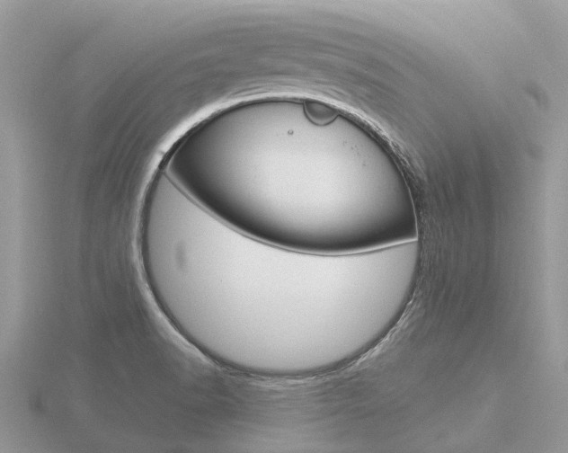 X0000116661518200912141016