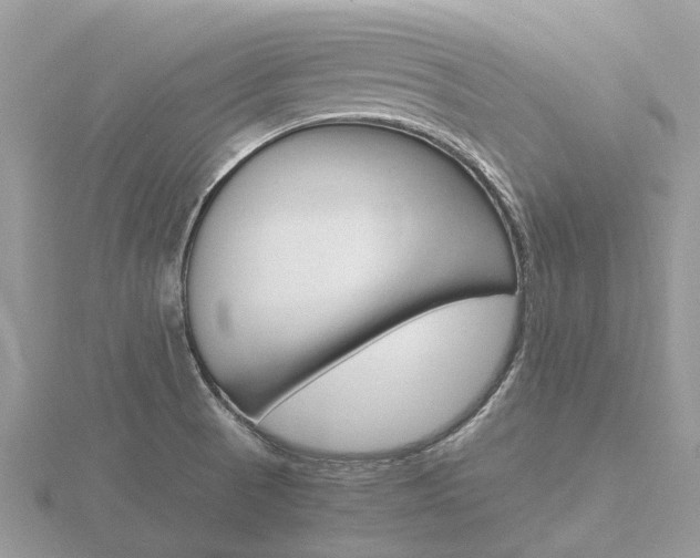 X0000116661521200912141016