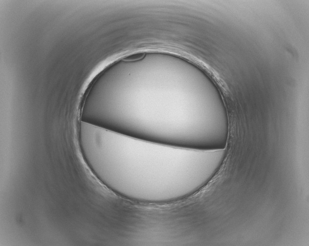 X0000116661522200912141016