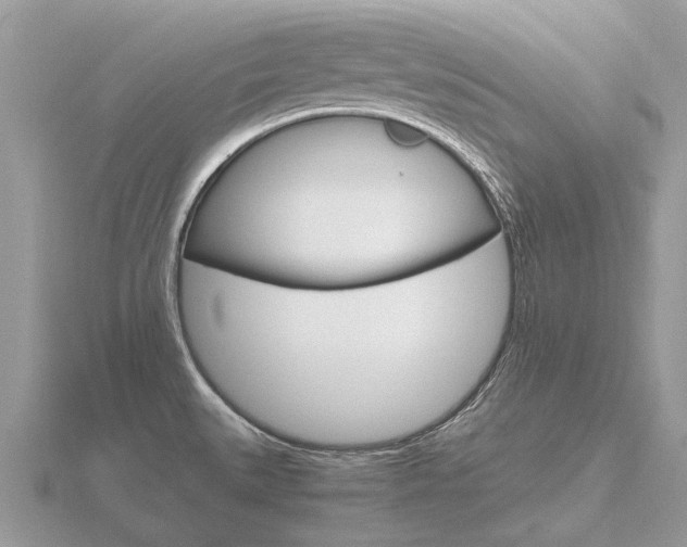 X0000116661527200912141016