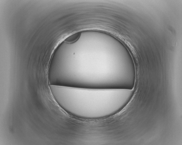 X0000116661529200912141016