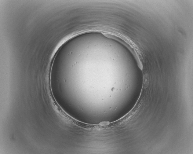 X0000116661530200912141016