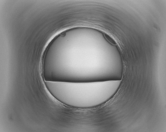 X0000116661531200912141016