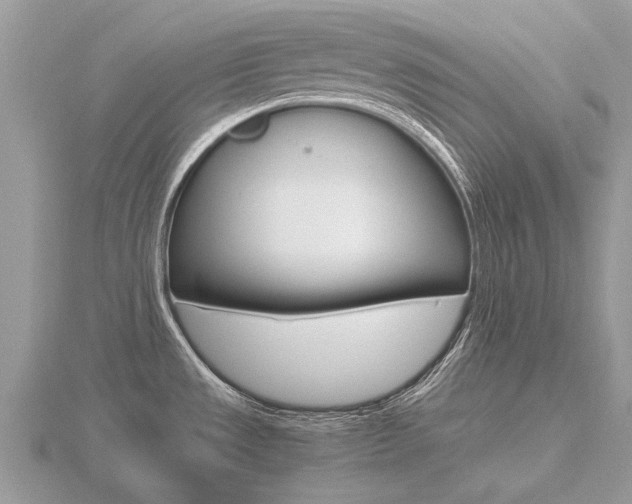 X0000116661533200912141016