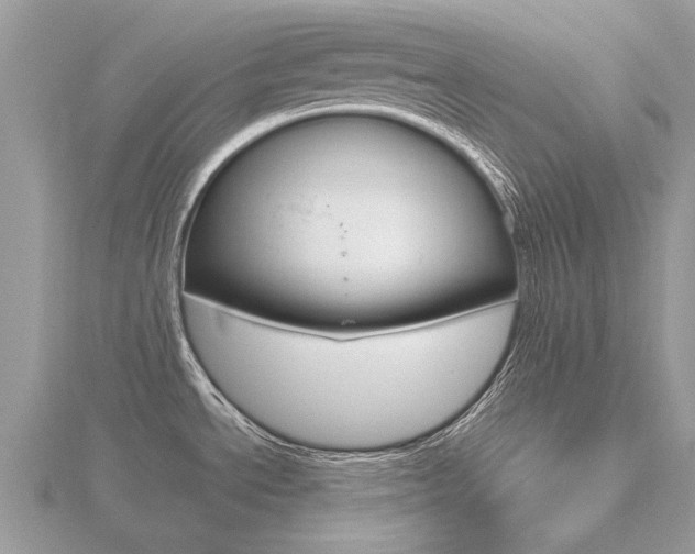 X0000116661534200912141016