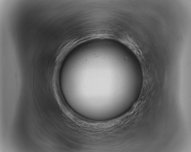 X0000116660001200912141330