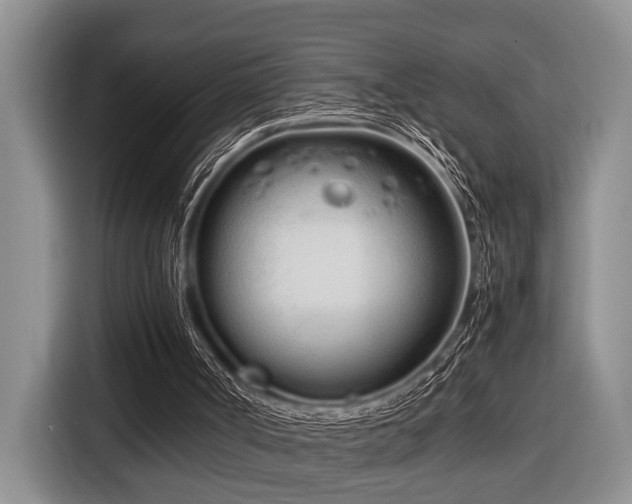 X0000116660002200912141330