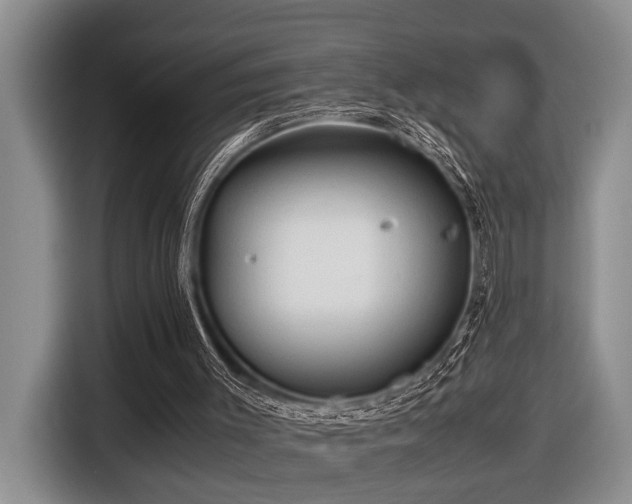 X0000116660003200912141330