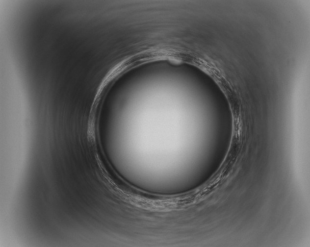 X0000116660004200912141330