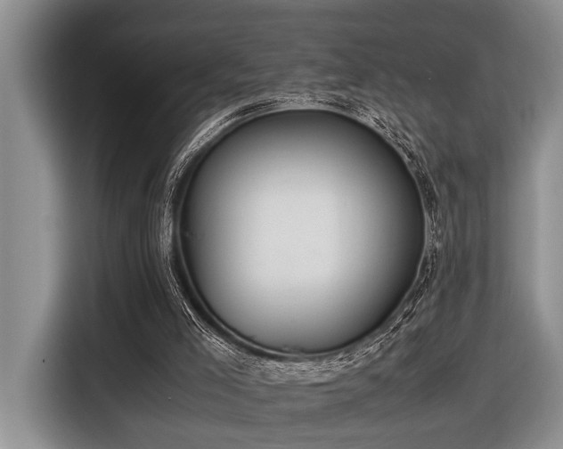 X0000116660005200912141330