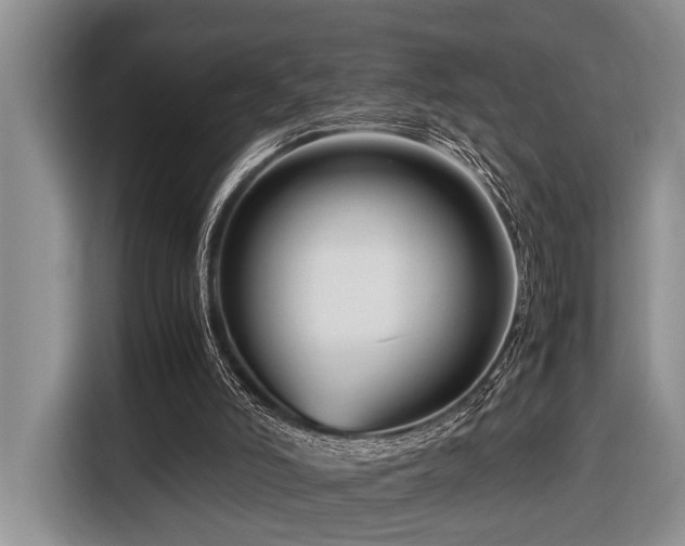 X0000116660006200912141330