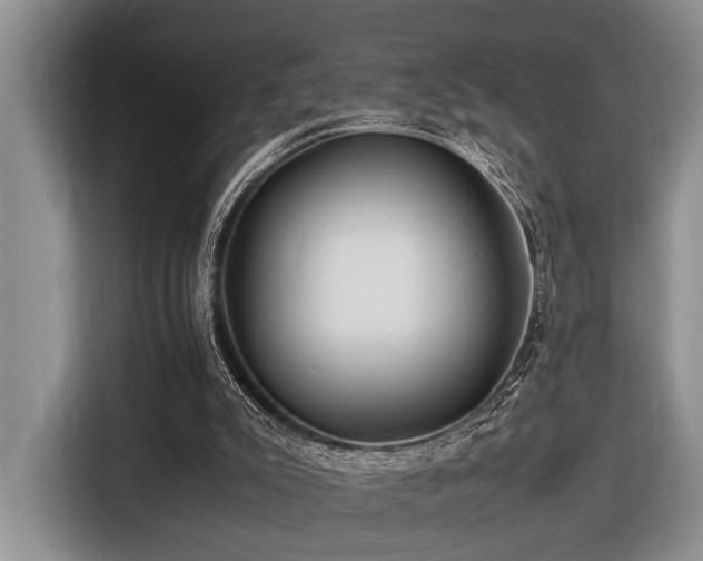 X0000116660007200912141330