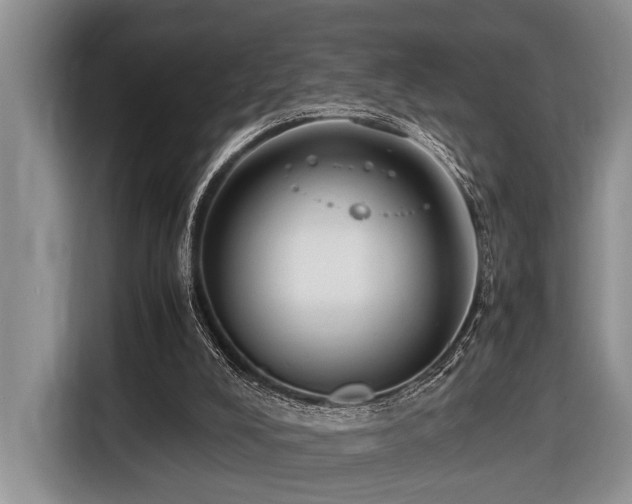 X0000116660008200912141330