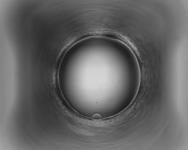 X0000116660010200912141330