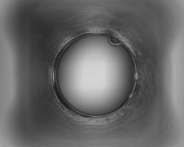 X0000116660011200912141330