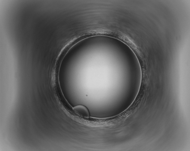 X0000116660012200912141330