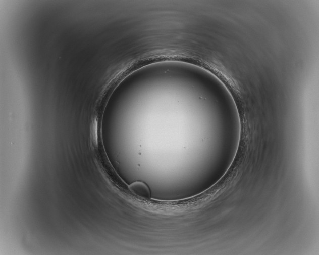 X0000116660014200912141330