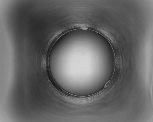 X0000116660015200912141329