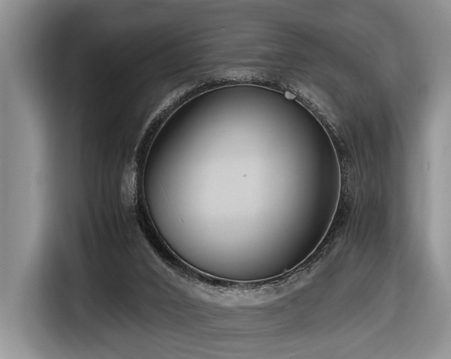 X0000116660016200912141329