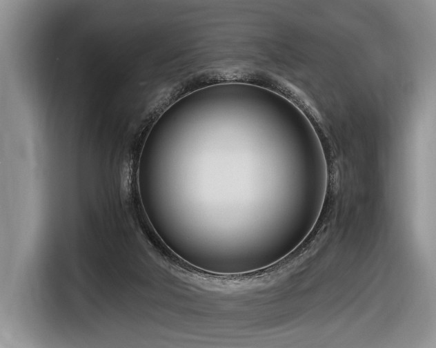 X0000116660018200912141329