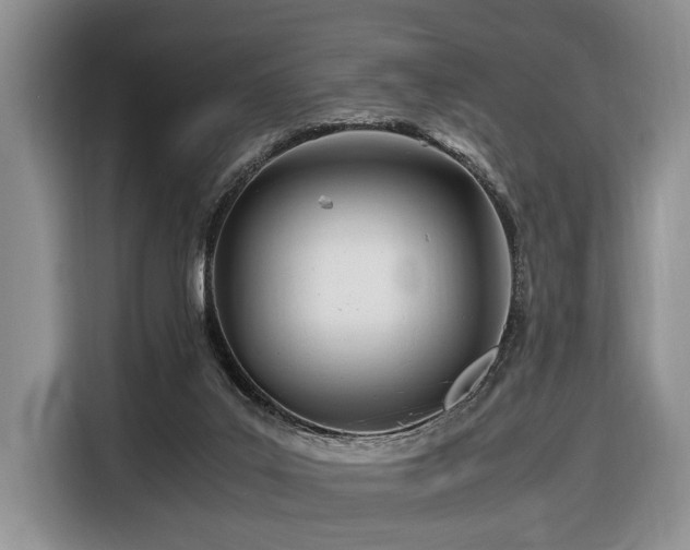 X0000116660019200912141329