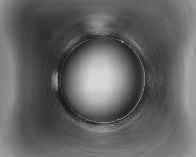 X0000116660020200912141329