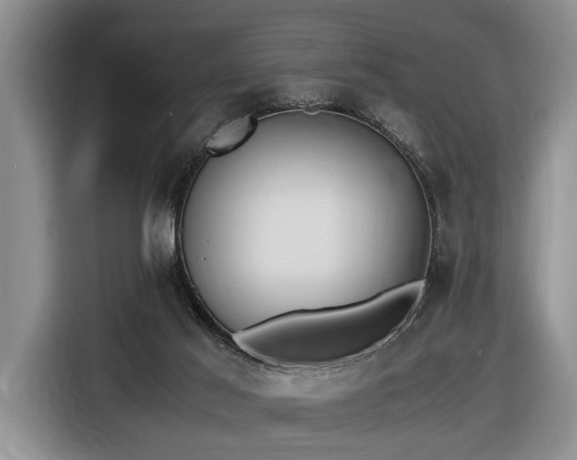 X0000116660021200912141329