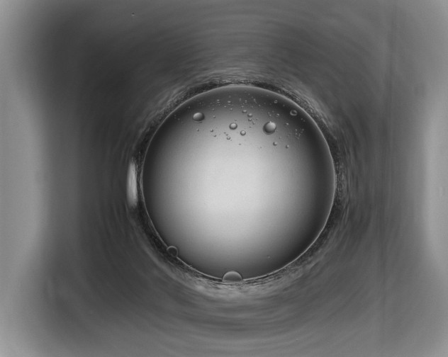 X0000116660022200912141329