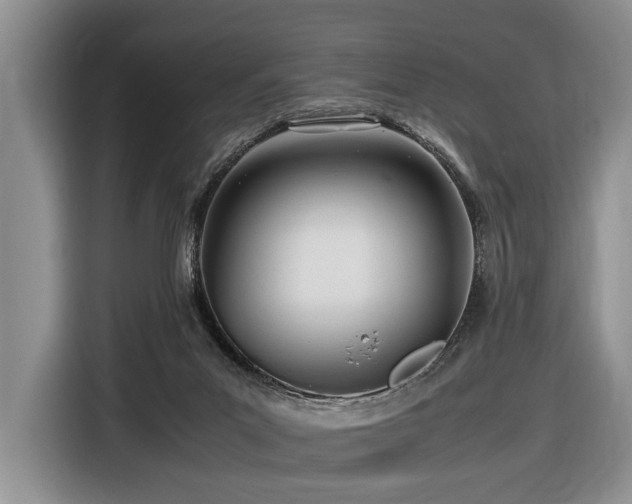 X0000116660023200912141329