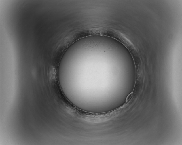 X0000116660025200912141329